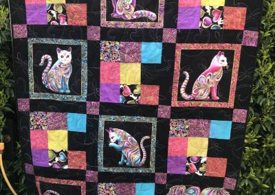 Jane Collins - A Virtual Hug Quilt - Quilted by Roisin McManus QYS